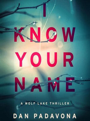 cover image of I Know Your Name